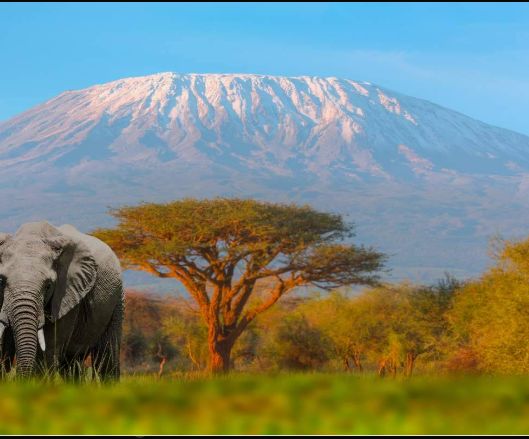 Mount Kilimanjaro